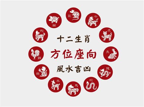 兔子代表數字|肖兔座向及吉祥號碼數字